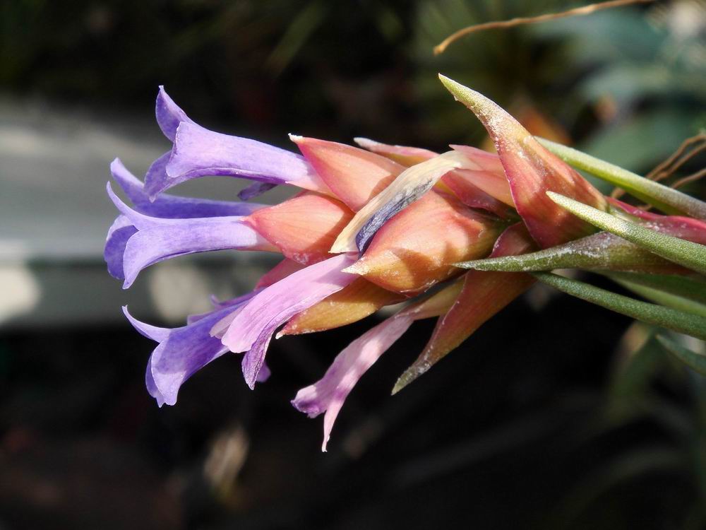 «ö¦¹¦b·sµøµ¡ÂsÄý¹Ï¤ù