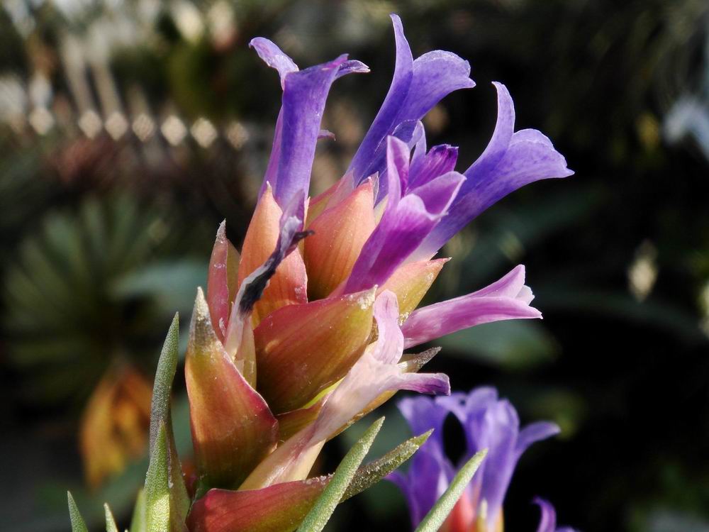 «ö¦¹¦b·sµøµ¡ÂsÄý¹Ï¤ù