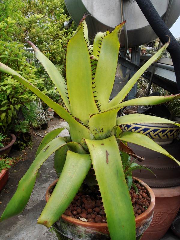 «ö¦¹¦b·sµøµ¡ÂsÄý¹Ï¤ù