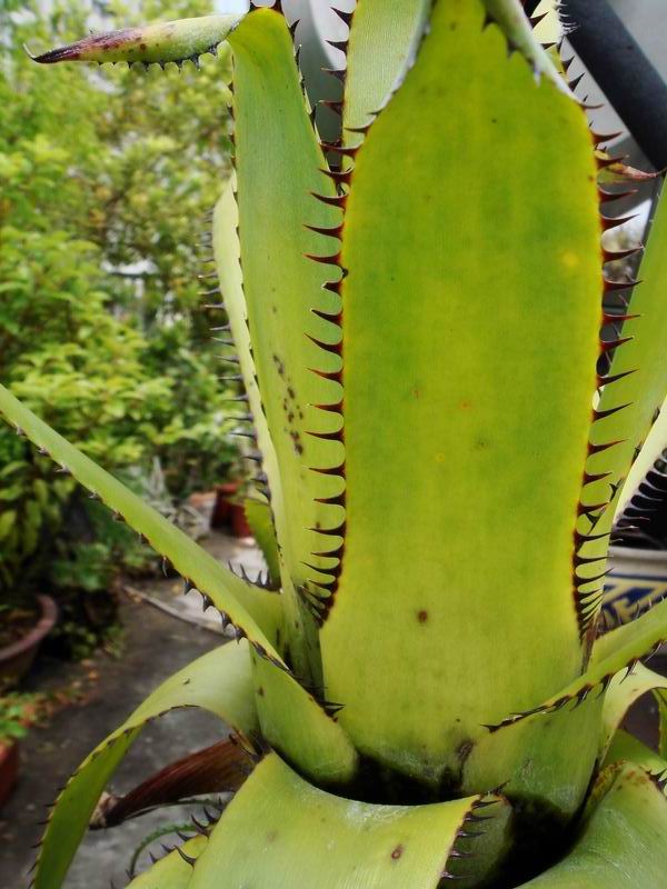 «ö¦¹¦b·sµøµ¡ÂsÄý¹Ï¤ù