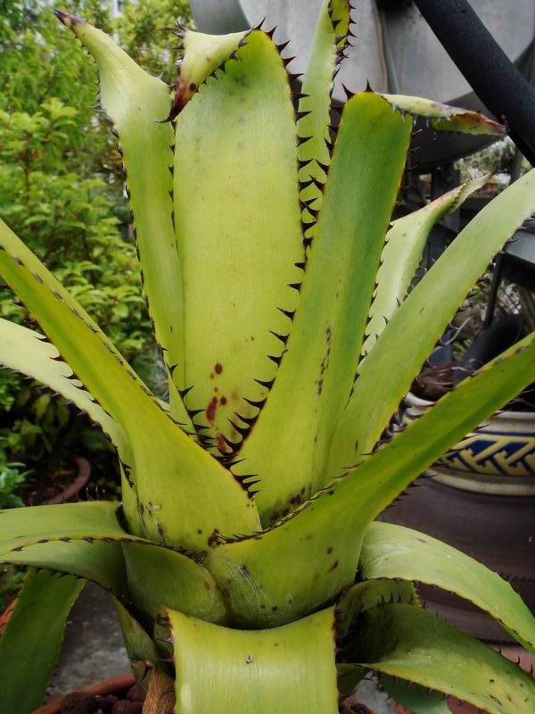 «ö¦¹¦b·sµøµ¡ÂsÄý¹Ï¤ù