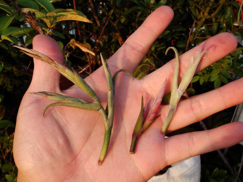 «ö¦¹¦b·sµøµ¡ÂsÄý¹Ï¤ù