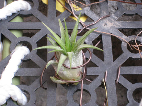 «ö¦¹¦b·sµøµ¡ÂsÄý¹Ï¤ù