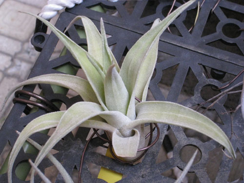 «ö¦¹¦b·sµøµ¡ÂsÄý¹Ï¤ù