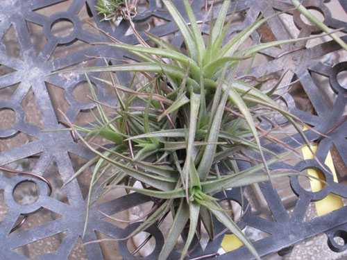 «ö¦¹¦b·sµøµ¡ÂsÄý¹Ï¤ù