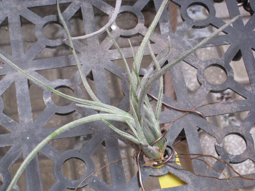 «ö¦¹¦b·sµøµ¡ÂsÄý¹Ï¤ù