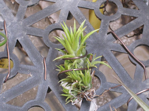 «ö¦¹¦b·sµøµ¡ÂsÄý¹Ï¤ù