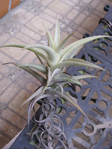 «ö¦¹¦b·sµøµ¡ÂsÄý¹Ï¤ù