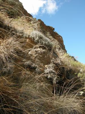 «ö¦¹¦b·sµøµ¡ÂsÄý¹Ï¤ù