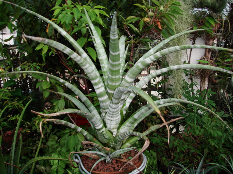 «ö¦¹¦b·sµøµ¡ÂsÄý¹Ï¤ù