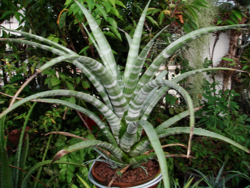 «ö¦¹¦b·sµøµ¡ÂsÄý¹Ï¤ù