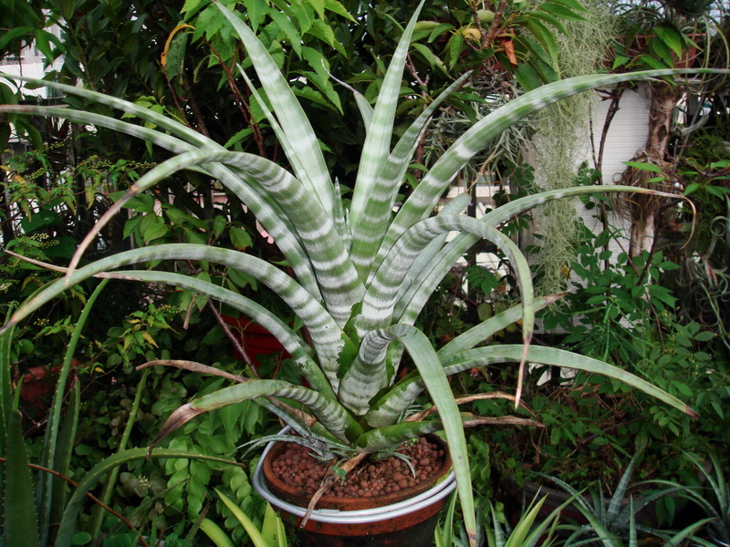 «ö¦¹¦b·sµøµ¡ÂsÄý¹Ï¤ù