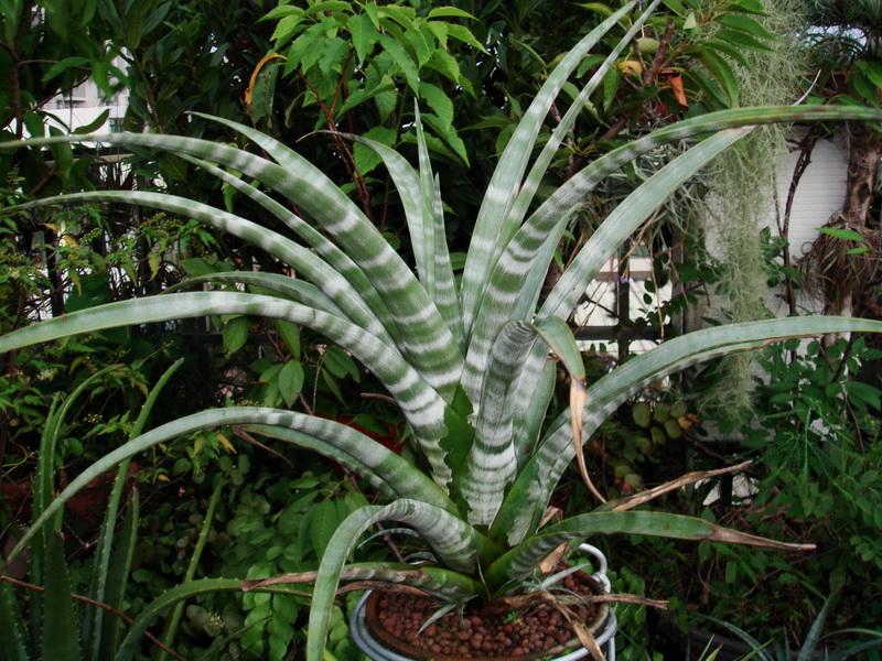 «ö¦¹¦b·sµøµ¡ÂsÄý¹Ï¤ù