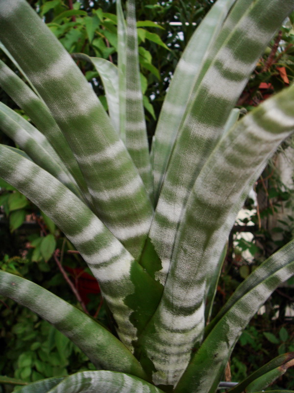 «ö¦¹¦b·sµøµ¡ÂsÄý¹Ï¤ù