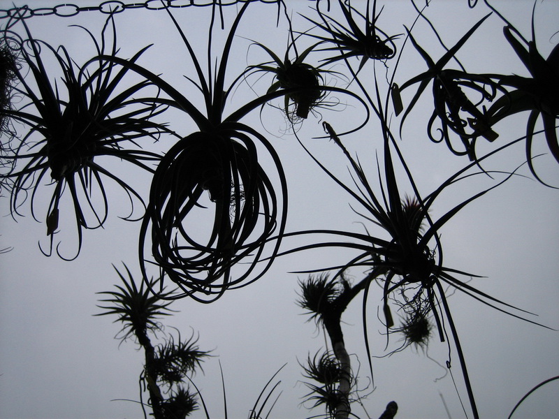 «ö¦¹¦b·sµøµ¡ÂsÄý¹Ï¤ù