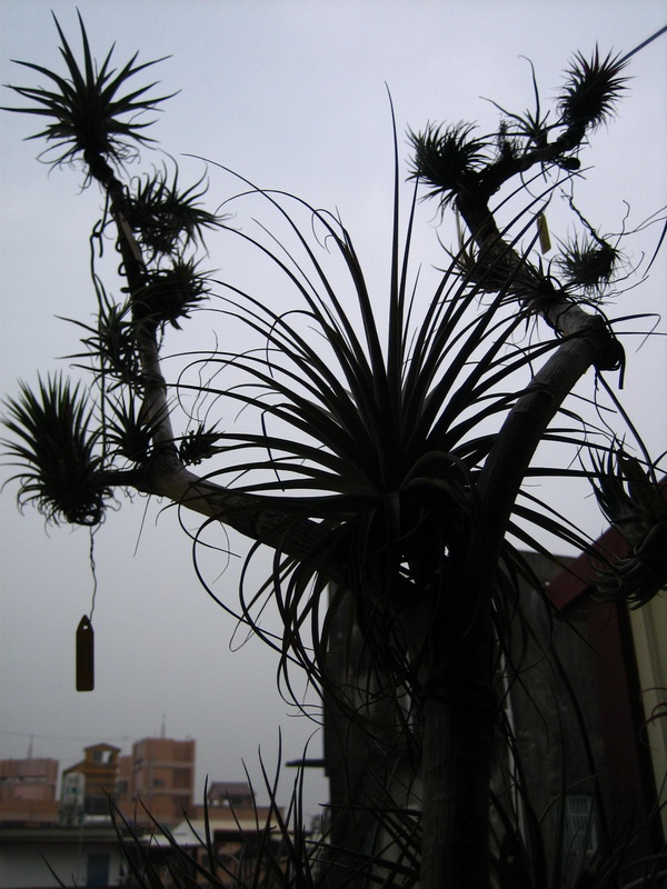 «ö¦¹¦b·sµøµ¡ÂsÄý¹Ï¤ù