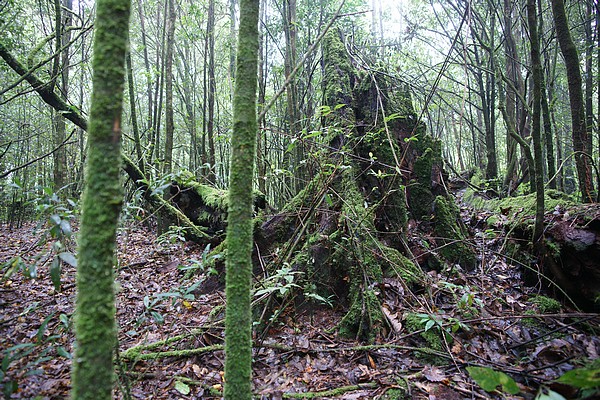 按此在新視窗瀏覽圖片