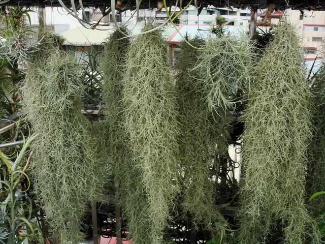 «ö¦¹¦b·sµøµ¡ÂsÄý¹Ï¤ù