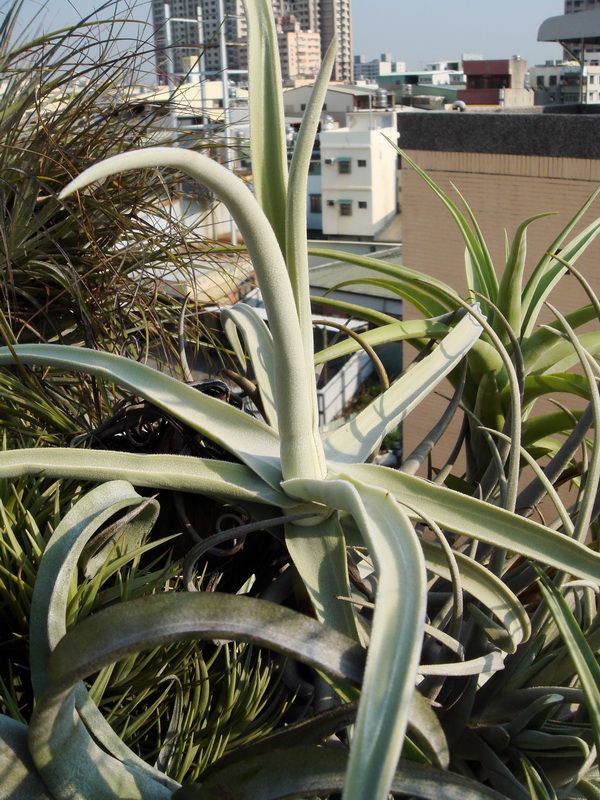 «ö¦¹¦b·sµøµ¡ÂsÄý¹Ï¤ù