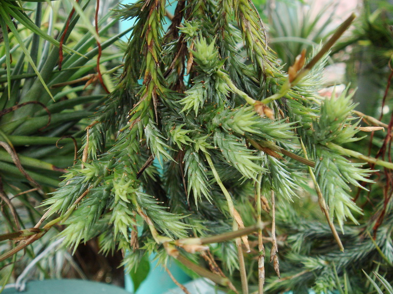 «ö¦¹¦b·sµøµ¡ÂsÄý¹Ï¤ù