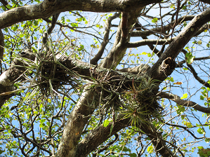 按此在新視窗瀏覽圖片