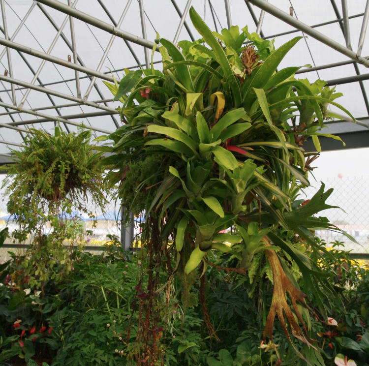 «ö¦¹¦b·sµøµ¡ÂsÄý¹Ï¤ù