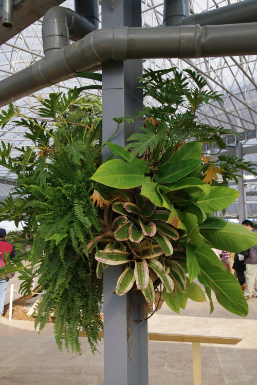 «ö¦¹¦b·sµøµ¡ÂsÄý¹Ï¤ù