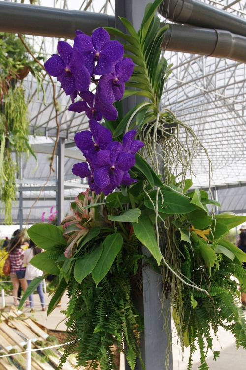 «ö¦¹¦b·sµøµ¡ÂsÄý¹Ï¤ù