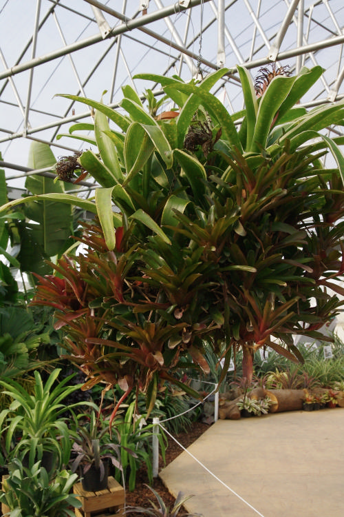 «ö¦¹¦b·sµøµ¡ÂsÄý¹Ï¤ù