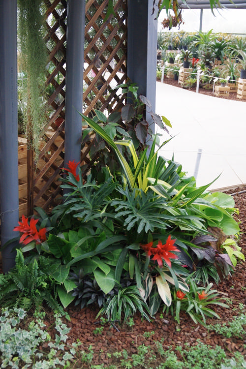 «ö¦¹¦b·sµøµ¡ÂsÄý¹Ï¤ù