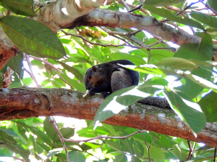 按此在新視窗瀏覽圖片