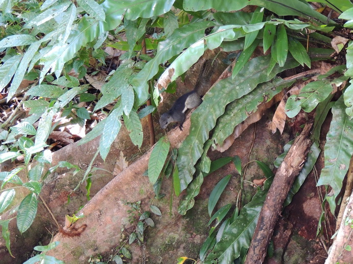 按此在新視窗瀏覽圖片