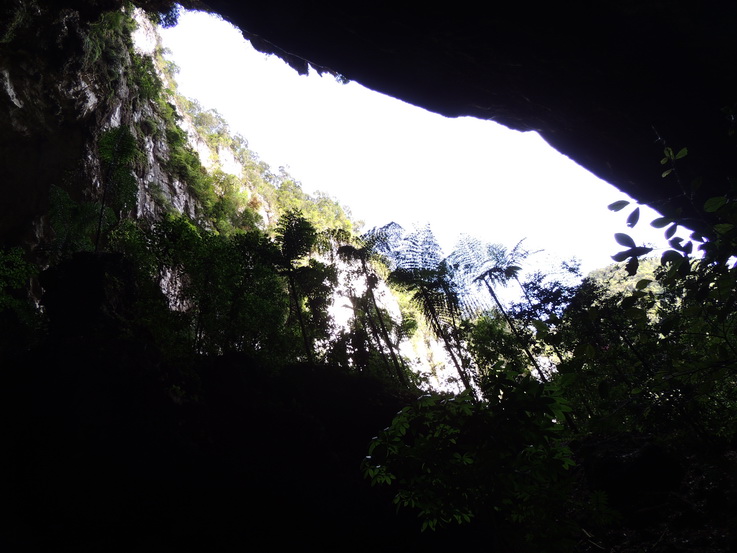 按此在新視窗瀏覽圖片