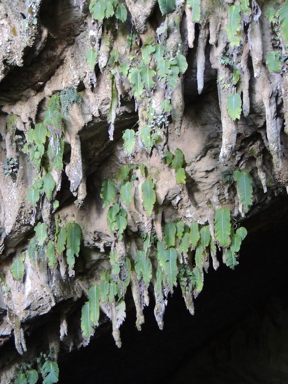 按此在新視窗瀏覽圖片