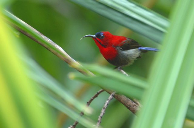 按此在新視窗瀏覽圖片