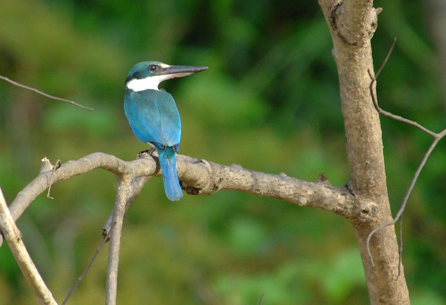按此在新視窗瀏覽圖片