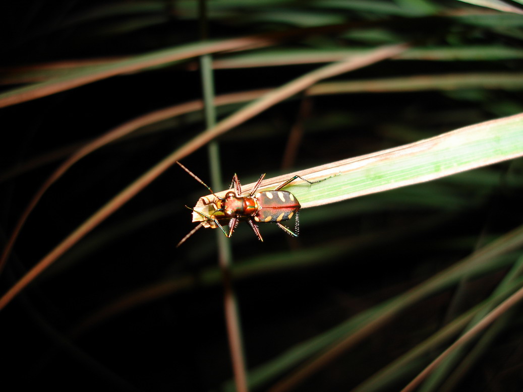 按此在新視窗瀏覽圖片
