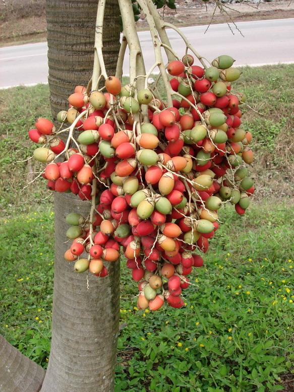 按此在新視窗瀏覽圖片