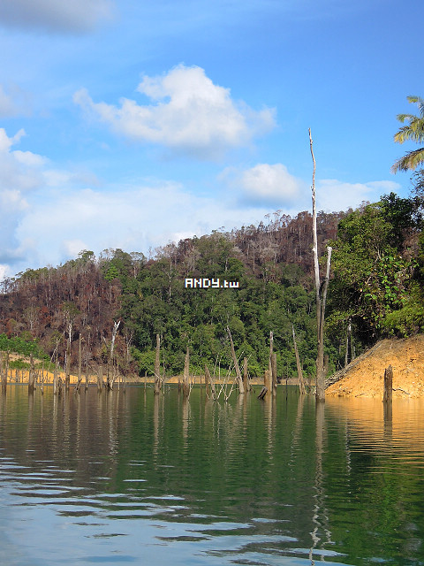 按此在新視窗瀏覽圖片