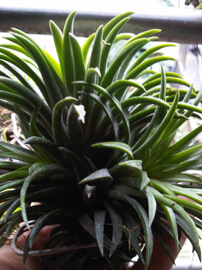 «ö¦¹¦b·sµøµ¡ÂsÄý¹Ï¤ù