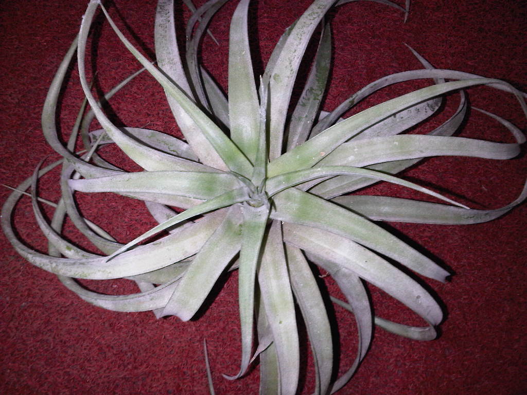 «ö¦¹¦b·sµøµ¡ÂsÄý¹Ï¤ù