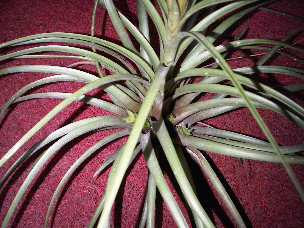 «ö¦¹¦b·sµøµ¡ÂsÄý¹Ï¤ù