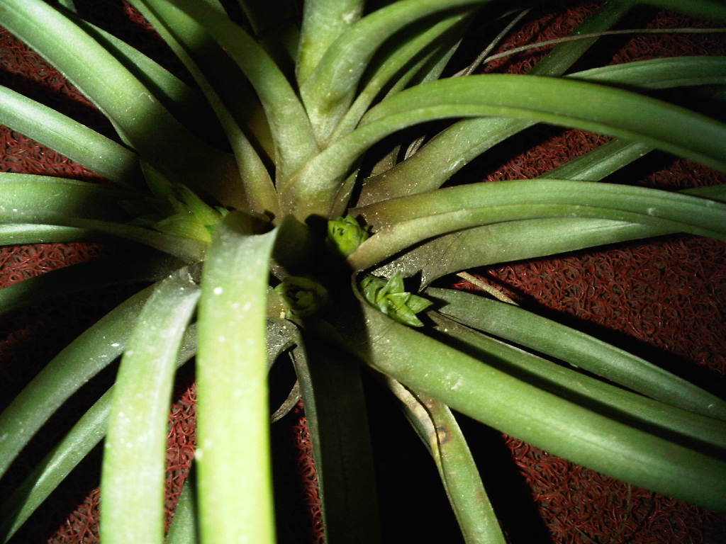 «ö¦¹¦b·sµøµ¡ÂsÄý¹Ï¤ù