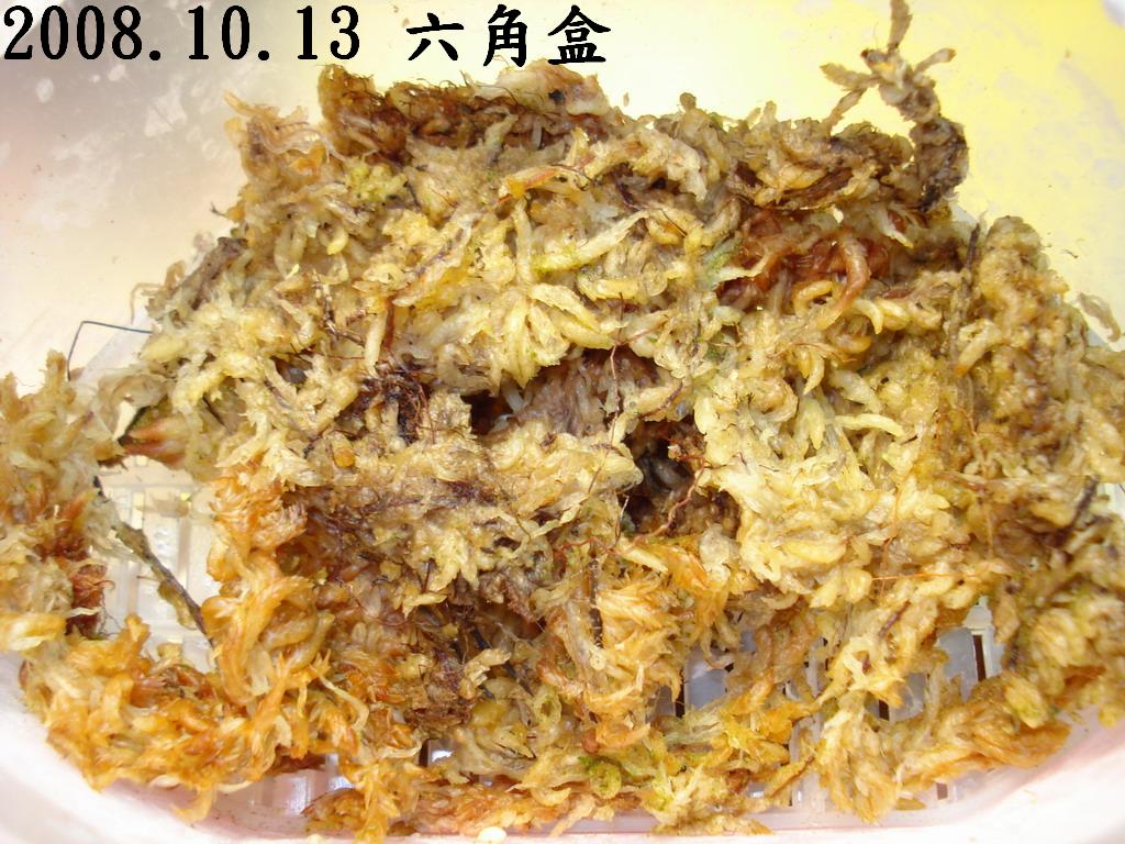 «ö¦¹¦b·sµøµ¡ÂsÄý¹Ï¤ù