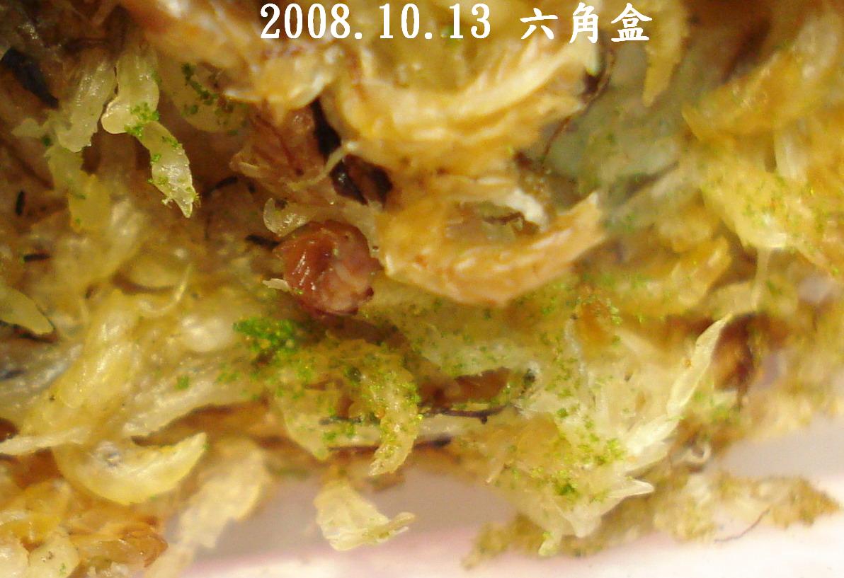 «ö¦¹¦b·sµøµ¡ÂsÄý¹Ï¤ù