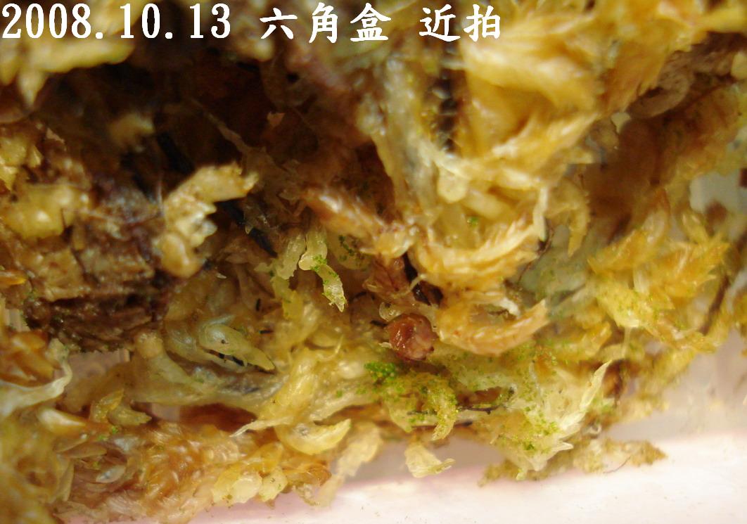 «ö¦¹¦b·sµøµ¡ÂsÄý¹Ï¤ù