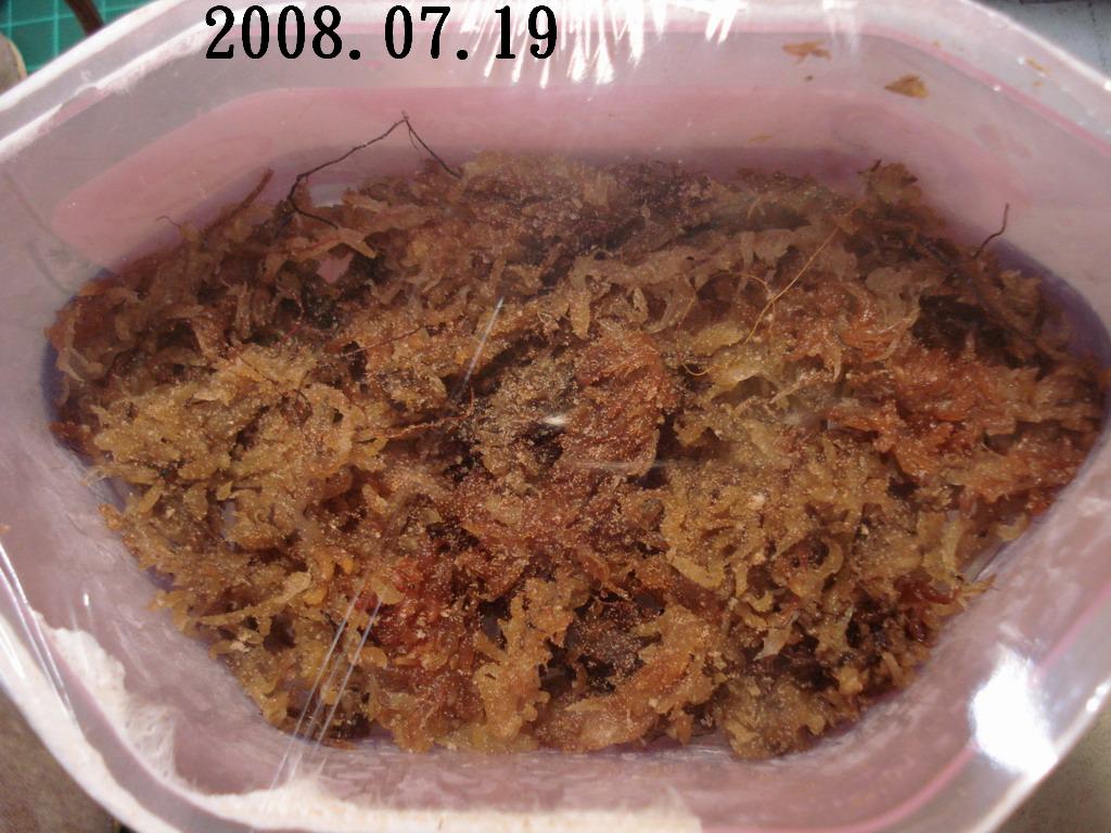 «ö¦¹¦b·sµøµ¡ÂsÄý¹Ï¤ù