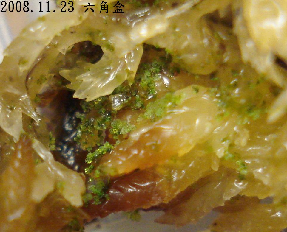 «ö¦¹¦b·sµøµ¡ÂsÄý¹Ï¤ù