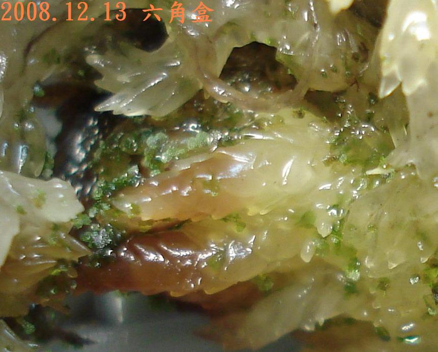 «ö¦¹¦b·sµøµ¡ÂsÄý¹Ï¤ù