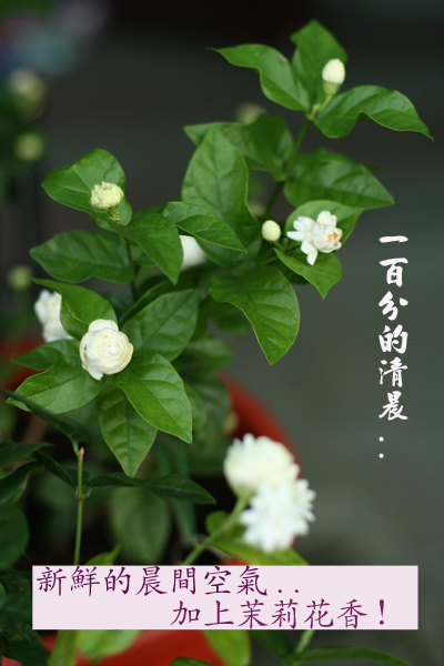 «ö¦¹¦b·sµøµ¡ÂsÄý¹Ï¤ù